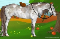 Horse Color:White Spotted Liver Red Dun Ice Splash Rabicano