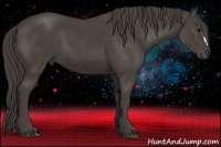 Horse Color:Smoky Black 