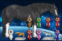 Horse Color:White Spotted Black 