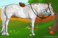 Horse Color:White Spotted Liver Red Dun Ice Pearl Splash Rabicano