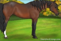 Horse Color:Brown 