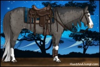 Horse Color:Grullo Splash Appaloosa 