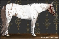 Horse Color:White Spotted Liver Red Dun Blanket 