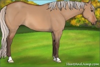 Horse Color:Silver Bay Dun