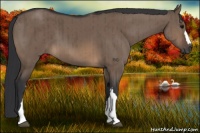 Horse Color:Brown Dun Brindle 