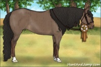 Horse Color:Liver Red Dun Brindle 