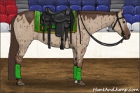 Horse Color:Liver Red Dun Brindle 