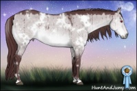 Horse Color:White Spotted Chocolate Brown Chinchilla Dun 