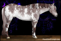 Horse Color:White Spotted Chocolate Brown Chinchilla Dun Mushroom Brindle 