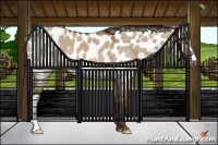 Horse Color:Liver Red Dun Appaloosa