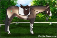 Horse Color:Brown Onyx 