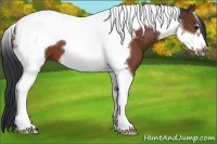 Horse Color:Brown Tobiano Frame 