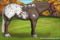Horse Color:Silver Black Blanket 