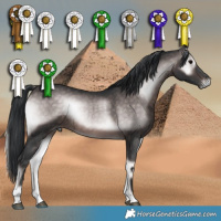 Horse Color:Platinum Brown Onyx 