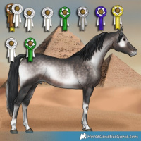 Horse Color:Platinum Brown Onyx