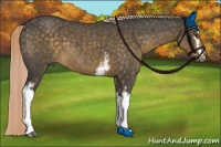 Horse Color:White Spotted Chocolate Palomino Roan 