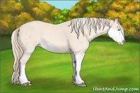 Horse Color:Perlino Sabino  and Perlino Sabino 