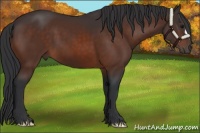 Horse Color:Brown 