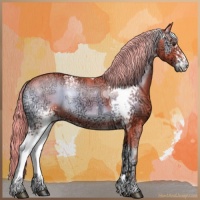 Horse Color:Watercolor White Spotted Liver Red Onyx Ice Rabicano 