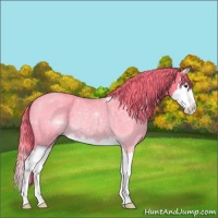 Horse Color:Watercolor Red Roan Splash Rabicano 