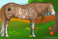 Horse Color:Chestnut Frame  and Chestnut Splash
