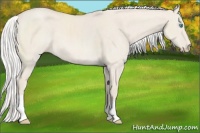 Horse Color:Silver Smoky Creme Roan Dun 