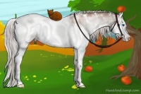 Horse Color:White Spotted Liver Red Dun Ice Pearl Onyx Splash Rabicano