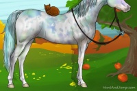 Horse Color:Nacre Plaid  White Spotted Liver Red Onyx Chinchilla 