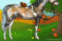 Horse Color:Painted Plaid White Spotted Bay Onyx