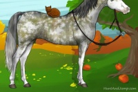 Horse Color:Plaid  Grullo Sabino Rabicano 