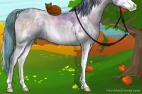 Horse Color:Watercolor Plaid  White Spotted Brown Pearl Onyx Sabino Rabicano Brindle