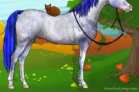 Horse Color:Painted Watercolor White Spotted Grullo Ice Rabicano