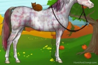Horse Color:Plaid  White Spotted Brown Ice Pearl Dun 