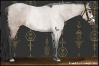 Horse Color:Bay Roan Dun Rabicano