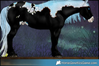 Horse Color:Watercolor Brown Onyx Splash Appaloosa 