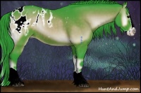 Horse Color:Watercolor Brown Onyx Splash Appaloosa