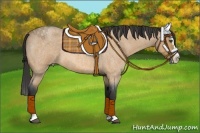 Horse Color:Buckskin Roan Splash 