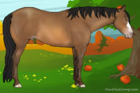 Horse Color:Gray Amber Champagne 