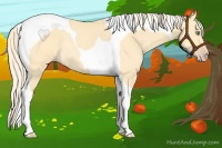 Horse Color:Gold Cream Champagne Dun Tobiano Rabicano