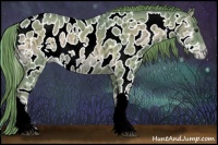 Horse Color:Watercolor White Spotted Red Onyx Ice Appaloosa 