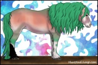Horse Color:Watercolor Bay Onyx 