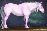 Horse Color:Watercolor White Spotted Brown Appaloosa 