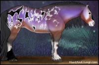 Horse Color:Bay Roan Onyx Appaloosa 
