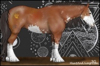 Horse Color:Bay Sabino