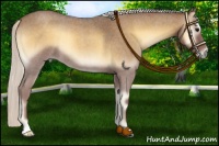 Horse Color:Silver Smoky Blue Onyx Roan 