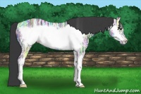 Horse Color:Black Ice Sabino Frame