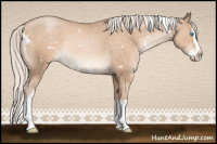 Horse Color:White Spotted Chocolate Palomino Pearl Splash 