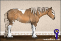 Horse Color:White Spotted Chocolate Palomino Mushroom Tobiano Rabicano 