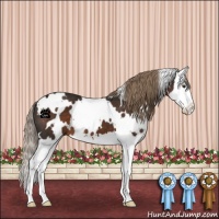 Horse Color:White Spotted Liver Chestnut Splash 