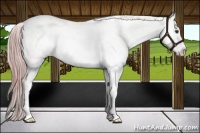 Horse Color:Plaid White Spotted Chocolate Palomino Onyx